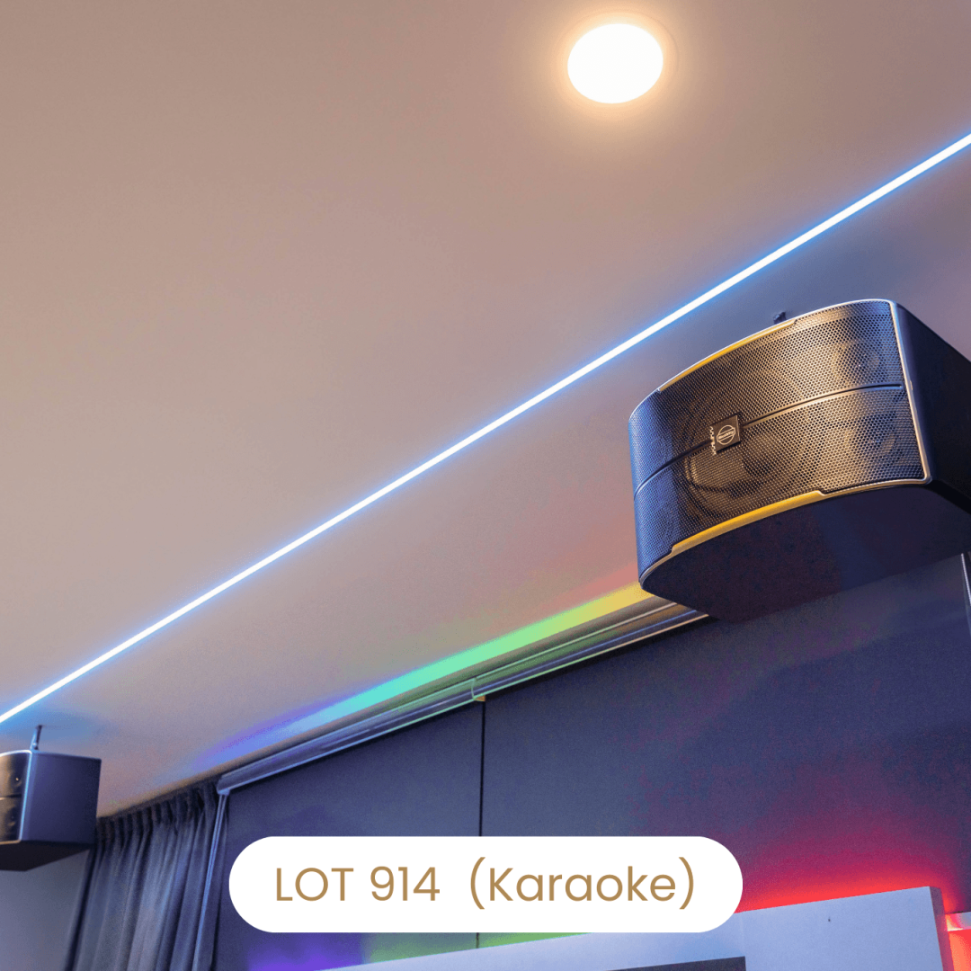 Professional karaoke sound system speaker and LED lighting at Le's Homestay Lot 914